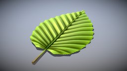 Hornbeam Leaf (High-Poly) tree, green, plant, detail, leaf, high-poly, hornbeam, vis-all-3d, 3dhaupt, software-service-john-gmbh, blender3d, carpinus-betulus