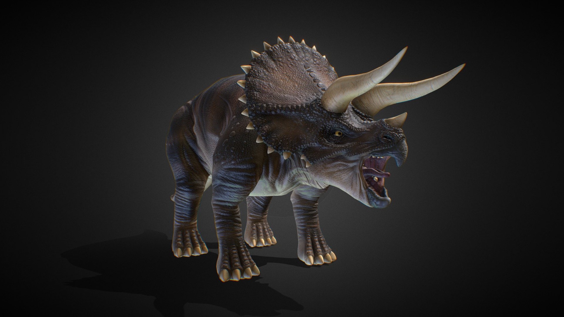 This is my take on a triceratops model I made hope you like it.

If You feel Like. please follow me on my social media&hellip;

Instagram: https://www.instagram.com/sweessedesign/
Behance: https://www.behance.net/sweesse
Youtube: https://www.youtube.com/channel/UCT8PBVBBJsQfbSyG5dwRuEQ - Triceratops - Buy Royalty Free 3D model by Marco Fascinetto (@Marco.Fascinetto) 3d model