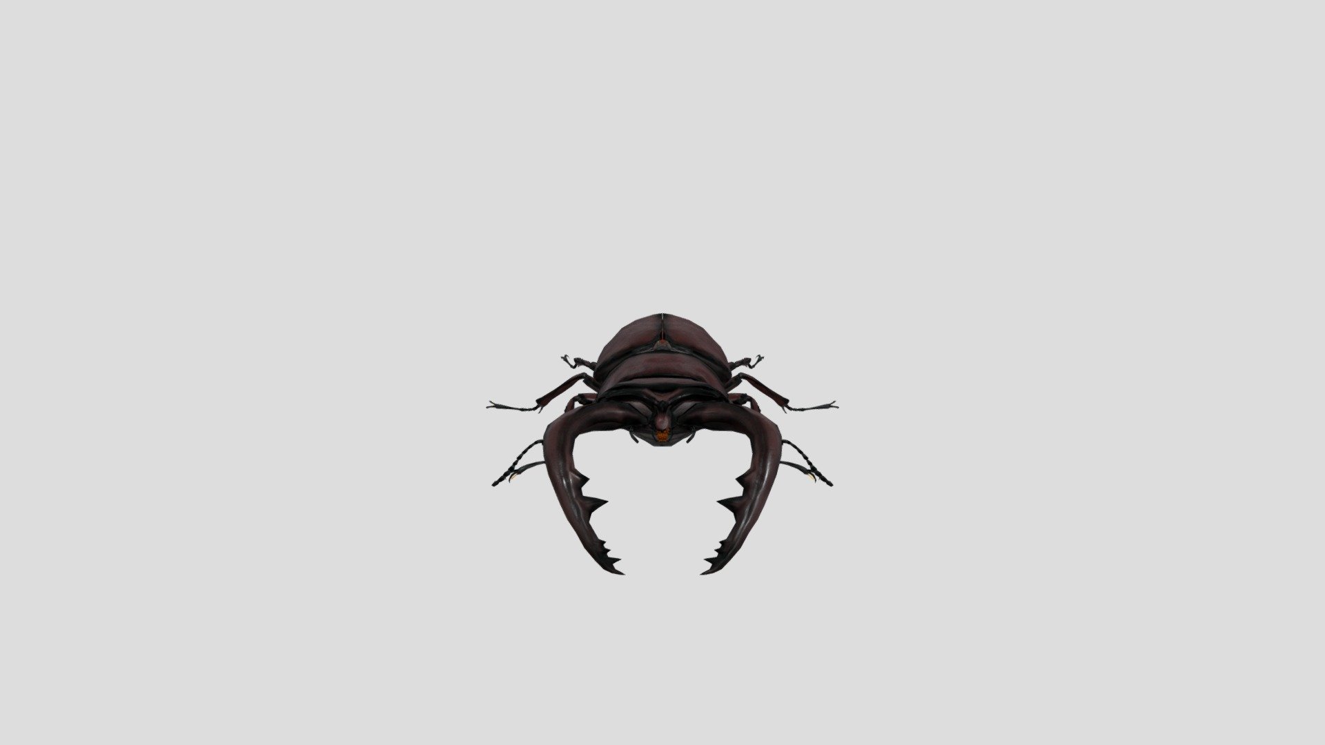 Stag beetle insect realistic animal pets animated rigged - Stag beetle - 3D model by Phil3D (@philosophie) 3d model