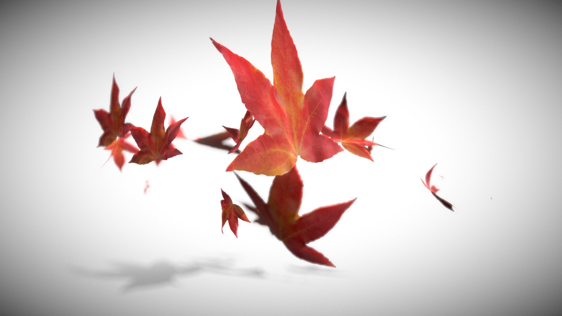 Modelado y animado con Cinema 4d - Autumn leaves - Buy Royalty Free 3D model by Nati Gonzalez (@NAG5) 3d model