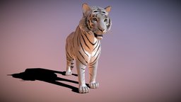 White Tiger (RIGGED ANIMATED)