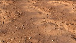 Moist clayey soil full of straw floor, clay, barro, tierra, straw, soil, ia, moist, suelo, clayey