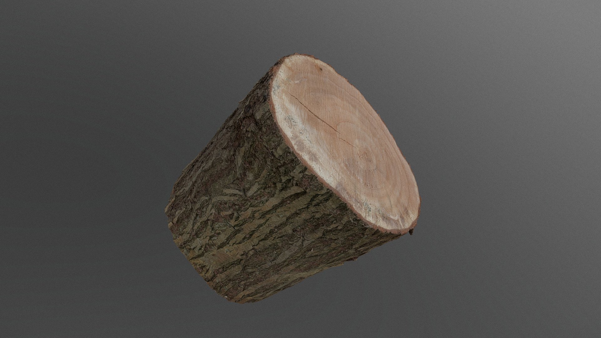 Thick Willow tree log paling stake lumber wood log chopping cut firewood timber lumber 

photogrammetry scan (120x36MP), 2x8K textures - Thick Willow log - Buy Royalty Free 3D model by matousekfoto 3d model