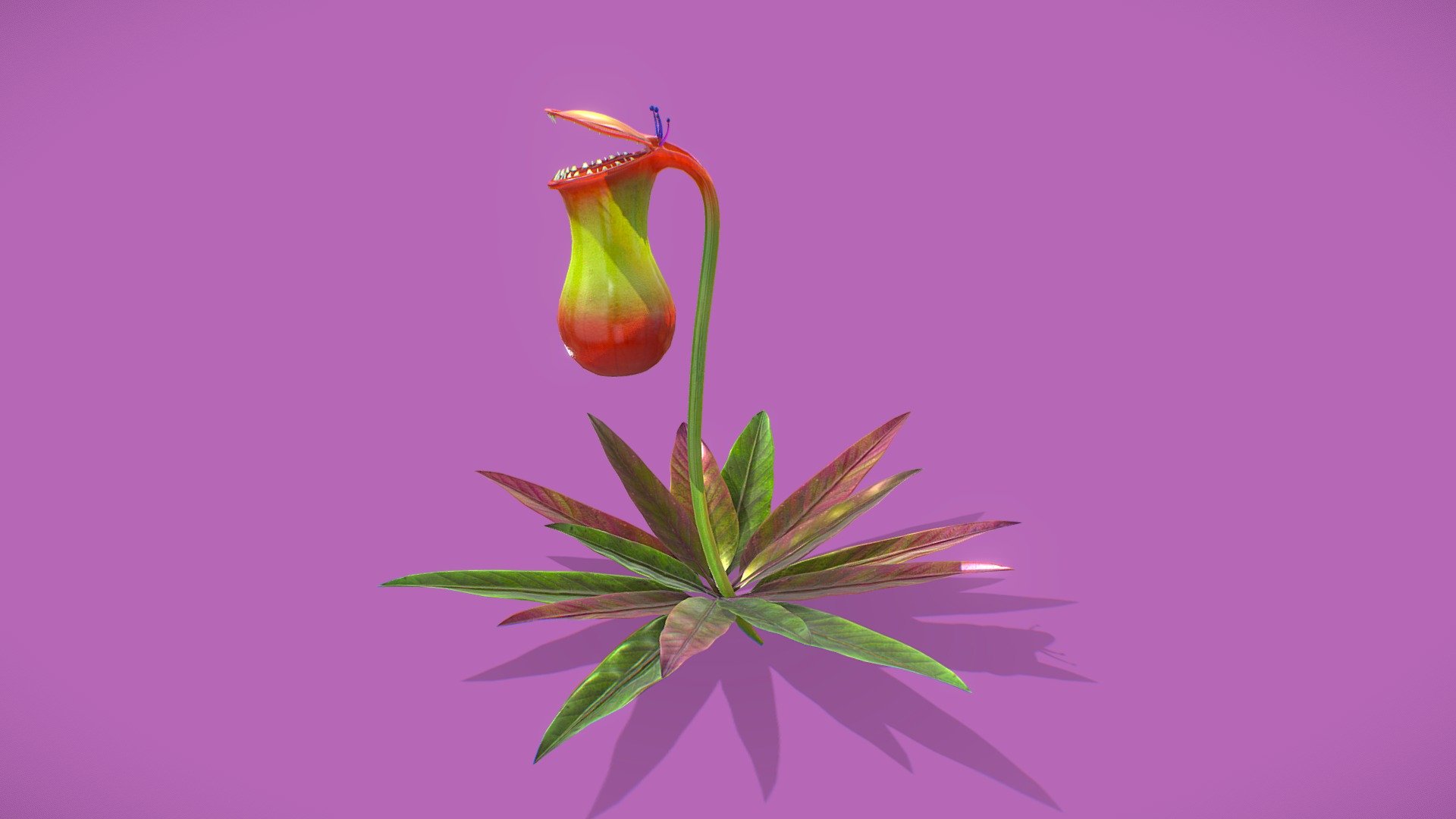nepenthes - Buy Royalty Free 3D model by gohean33 3d model