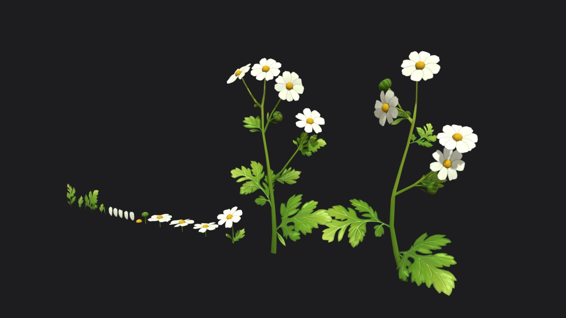 Feverfew model. Overlapping UVs (texture atlas)

The archive contains the following files:




.MA file (original MAYA file, version 2023)

FBX file

.tga texture (2048 * 2048) used for BaseColor and Opacity

The model also available in the pack. 

If you have any additional questions or any problems related to the model, kindly contact me: katy.b2802@gmail.com - Feverfew stylized plant - Buy Royalty Free 3D model by Enkarra 3d model