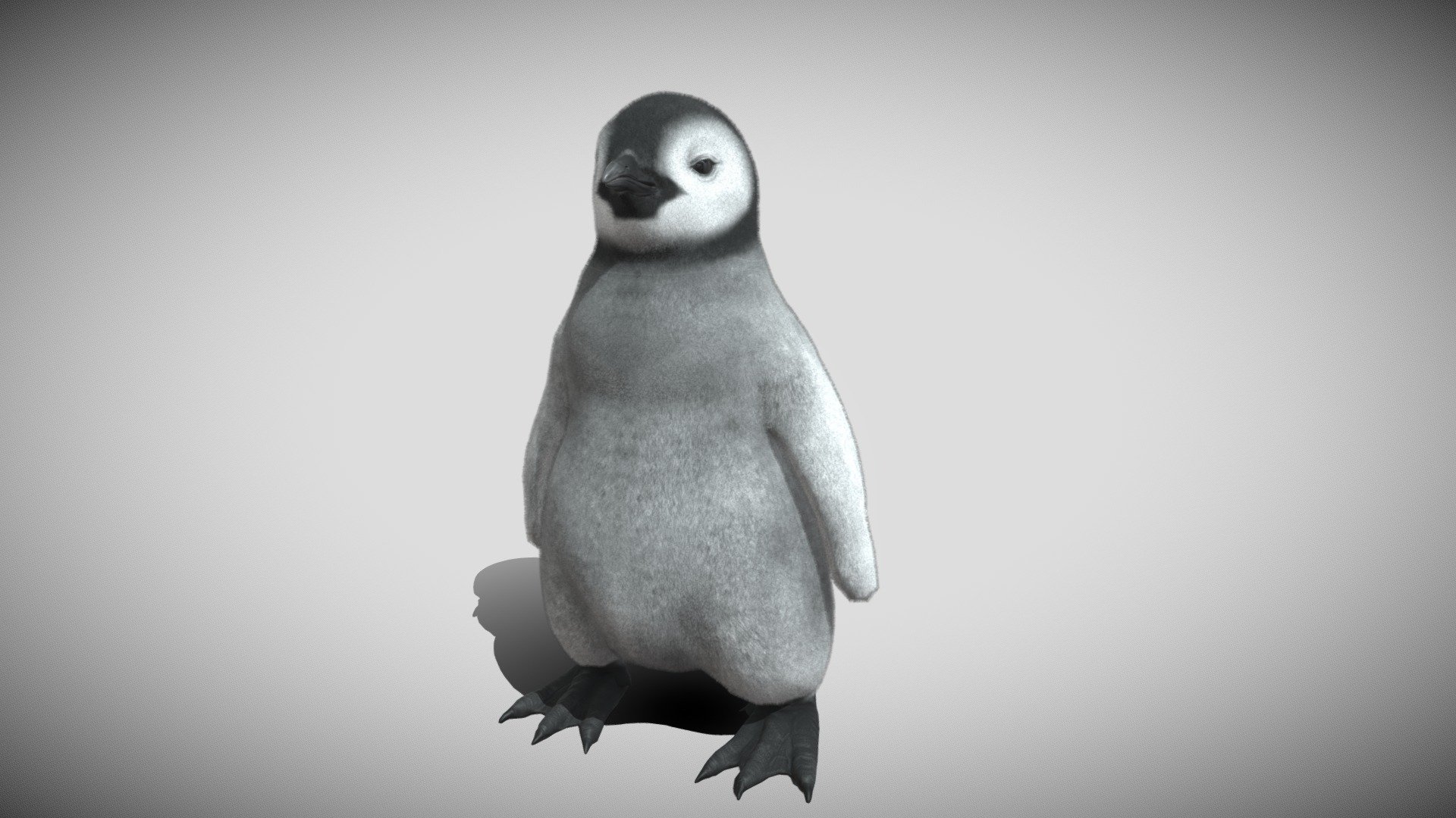 The baby penguin model :) - Fluffy Baby Penguin Rigged - Buy Royalty Free 3D model by Nakler'sWork (@Nakler) 3d model