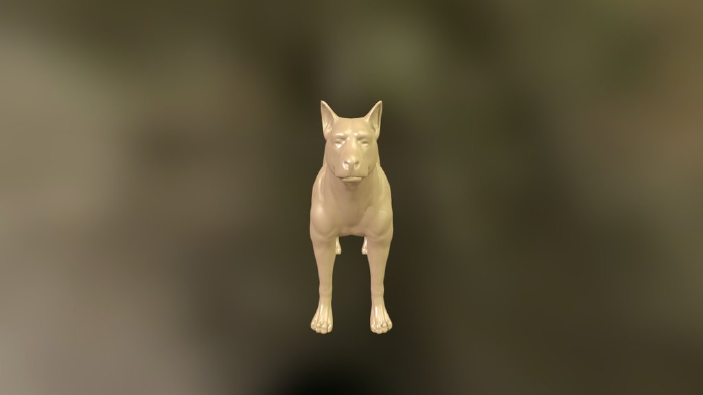 whatever dog - Dog_anatomy_study - 3D model by monomu 3d model