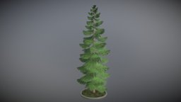 Spruce Tree flora, evergreen, vegetation, game-ready, vis-all-3d, 3dhaupt, software-service-john-gmbh, spruce-tree, low-poly