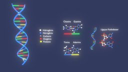 Visão Tridimensional Da Molécula De DNA (456) dna, gene