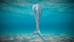 Mermaid Tail mermaid, tail, realistic, teal, character, pbr, low, poly, female, blue
