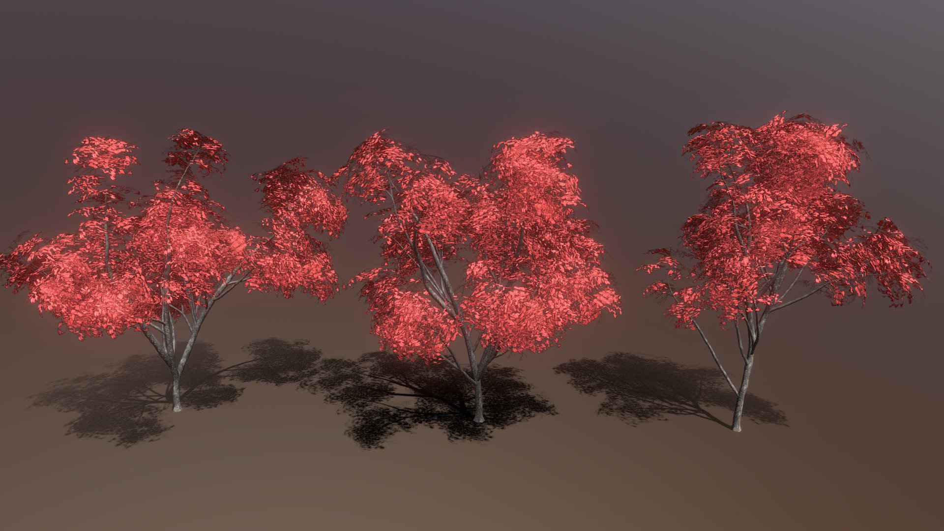 Three variations of bright red autumn maple trees. 

Specifications:

UV Mapped: Yes

Included Textures: Yes

Animated: No

Rigged: No



Bark textures include: color, normal, and roughness.

Foliage textures include: color, normal, and roughness.



Vertices: ~35k to 40k per tree

Tris: ~50K per tree



The foliage texture is composed of an atlas with four different variations of branches 3d model