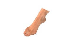 Fuß (weiblich) Scan nails, foot, artec, artecspider, artec3d, 3d, female