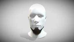 Metalhead  Beard