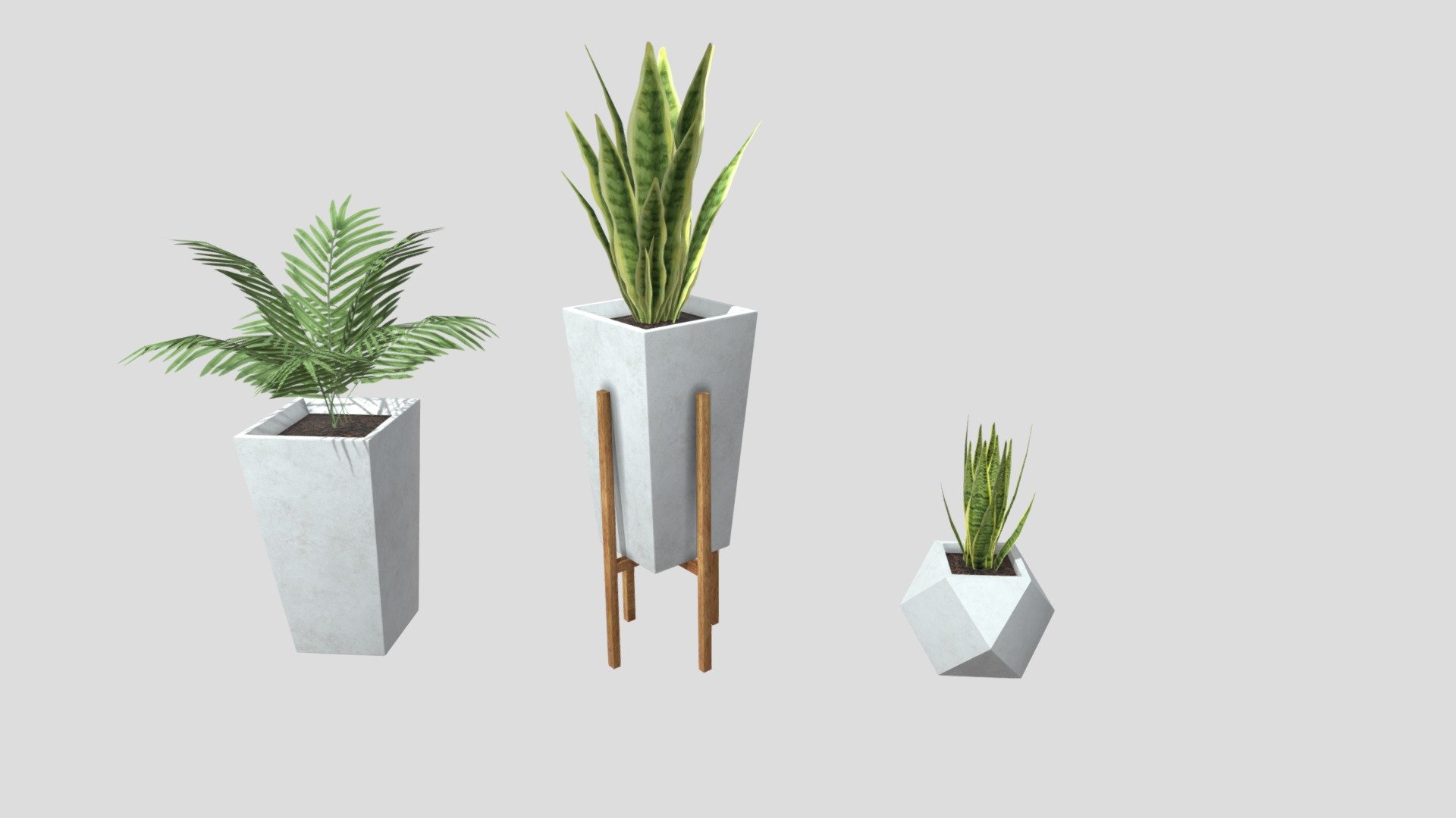 House plants for decoration and render.
Optimal topology for games.
With three modern pot options 3d model