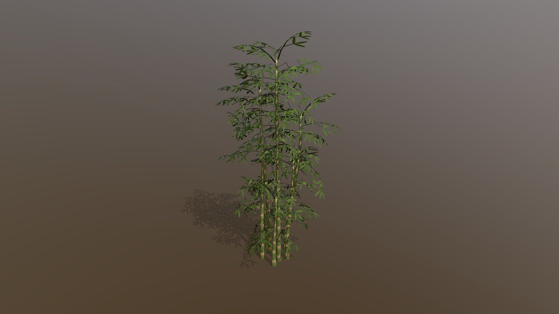 bamboo made in treeit - bamboo - Download Free 3D model by evolveduk 3d model