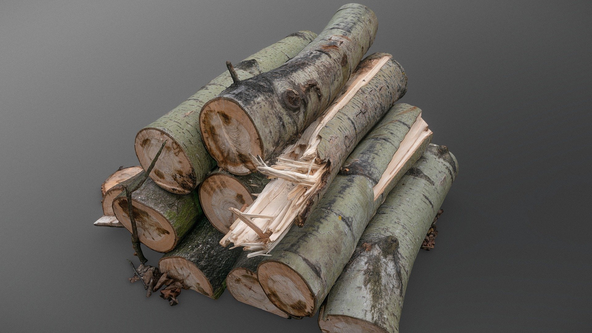 Cut sawed ashtree logs wood lumber stack pile heap in forest clearing

On demand unlimited worldwide license

photogrammetry scan (220x36mp), 2x16k textures - Cut ashree logs stack - on demand license - Buy Royalty Free 3D model by matousekfoto 3d model