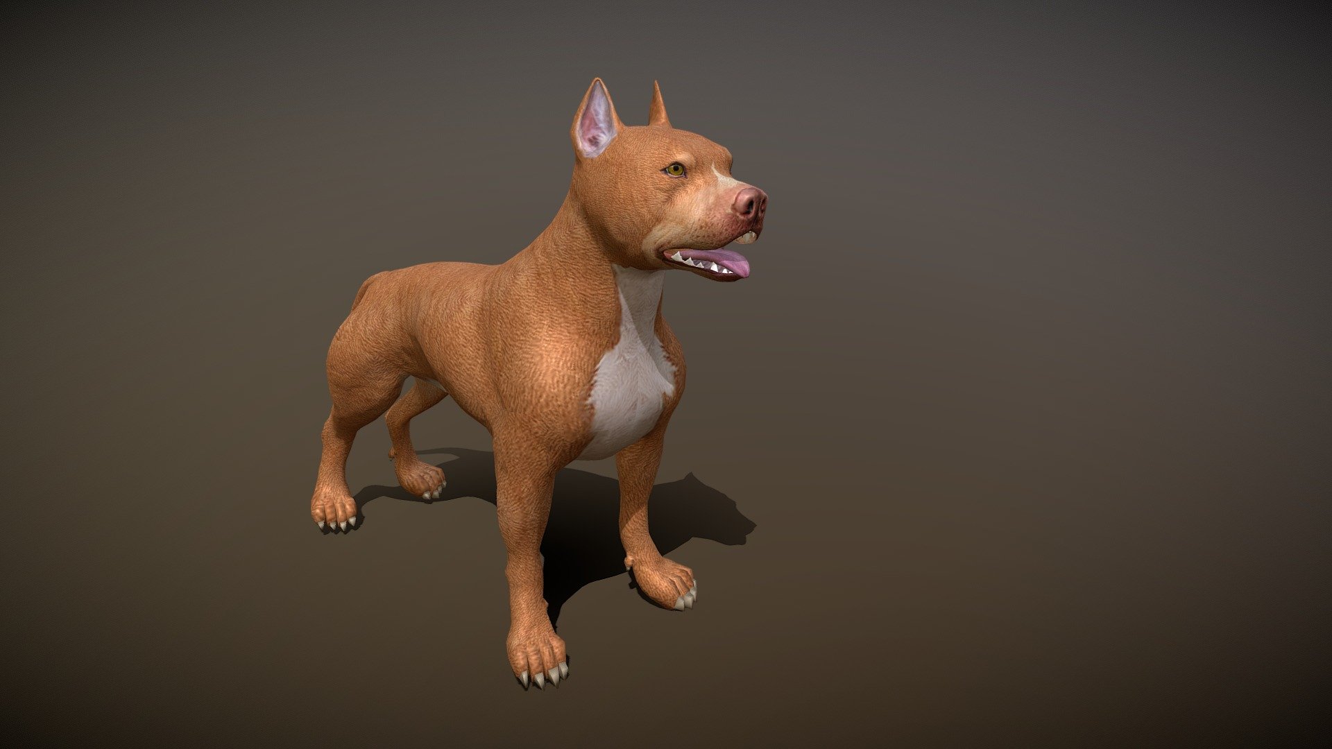 3d low-poly model
made in Blender 2.81
1024/1024 png textures - pit bull - Buy Royalty Free 3D model by pinotoon 3d model