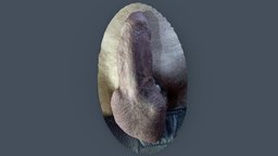 DK_A03 balls, , , cock, , genital