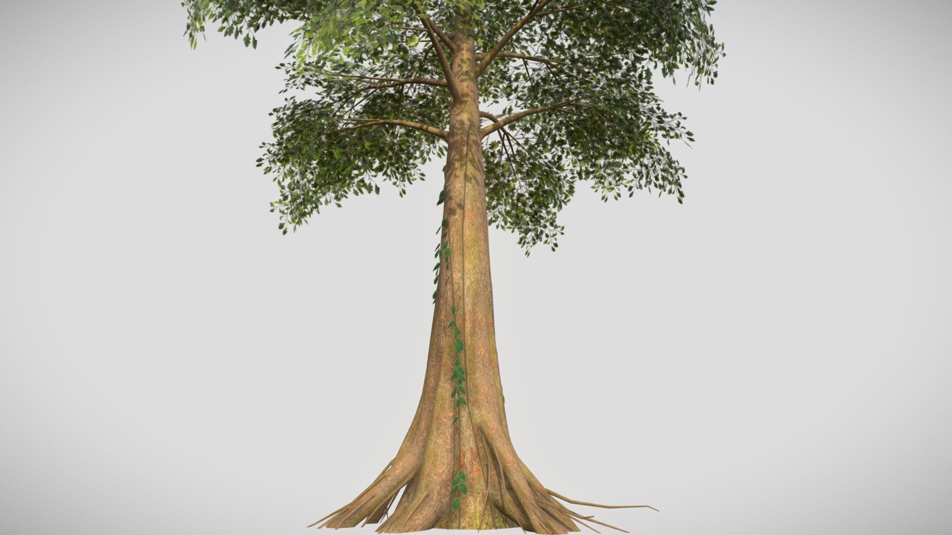 Jungle Tree ready for game engine - Jungle Tree - 3D model by Math_Fry (@Frydman.M) 3d model