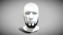 Metalhead Beard
