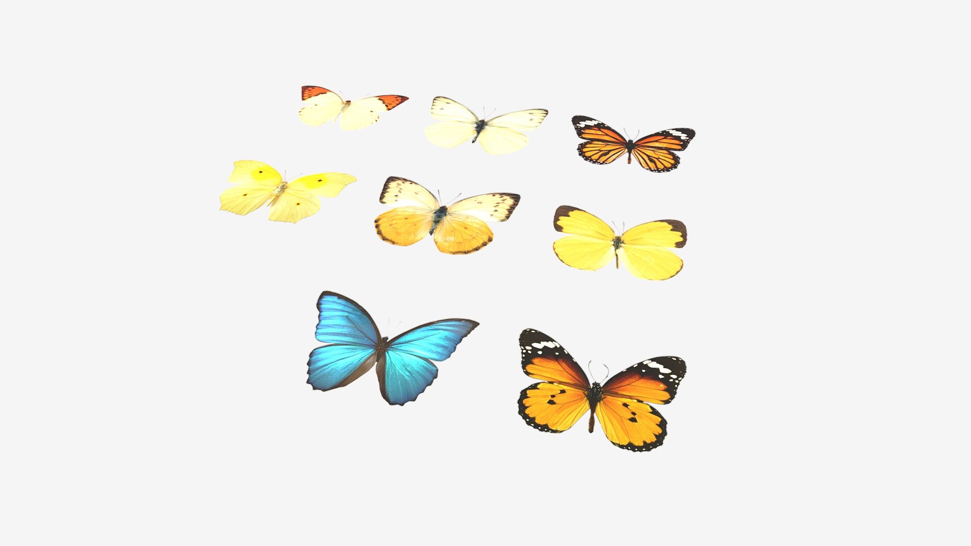 Selection of low poly butterflies suitable to be used in video game or real time purposes - Butterflies - Buy Royalty Free 3D model by Studio Lab (@studiolab.dev) 3d model