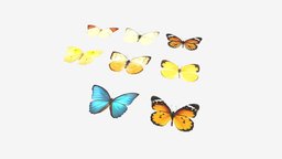 Butterflies white, butterfly, monarch, cabbage, butterflies, morpho, blue
