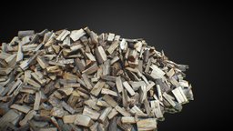 Pile of Wood 3D Scan