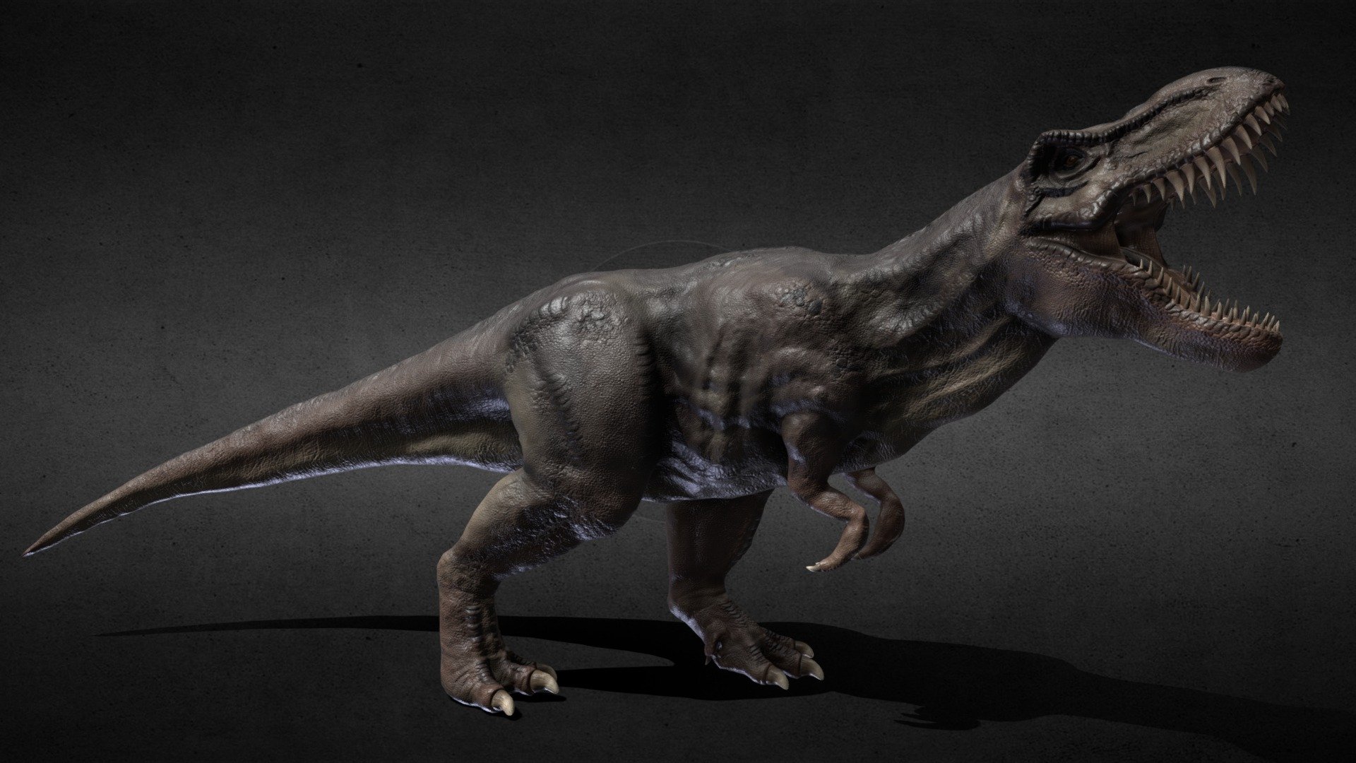 Part of a university project.

One module I am recreating a still frame environment from Jurassic Park with a few changes that will be put into Unreal Engine 4. 

I referenced a few different variations of a T-Rex.

Sculpted in ZBrush, textured in Substance Painter and rigged in Maya - Rex - 3D model by Alessia (@arimmer) 3d model