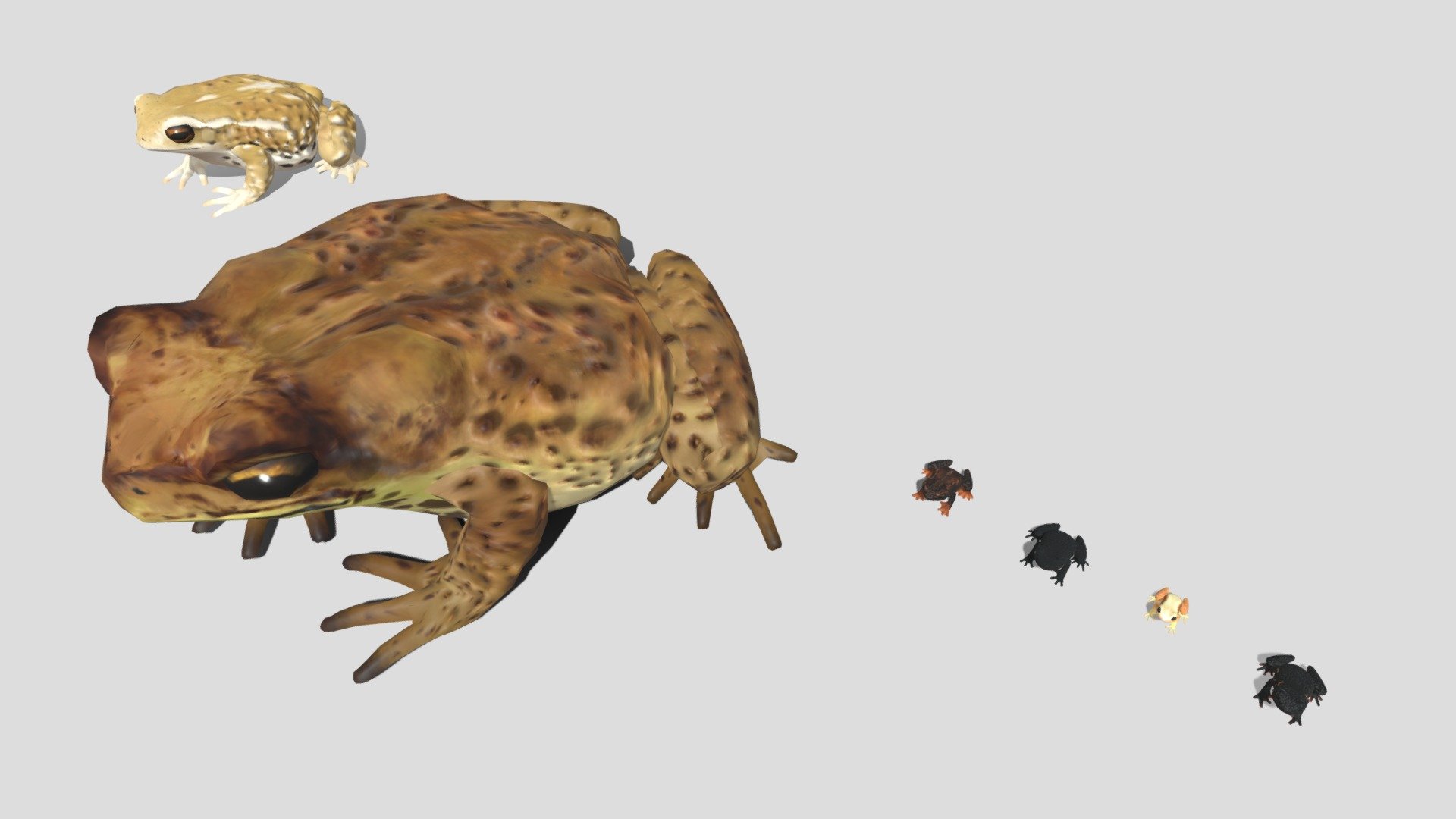 6 kinds of toad (the genus Bufo)




和モンテビデオクロヒキガエル / 英 Montevideo Red-belly Toad  / 学 Melanophryniscus montevidensis

和キハンシコモチヒキガエル / 英 Kihansi Spray Toad / 学 Nectophrynoides asperginis

和ロライマコロコロヒキガエル / 英 Roraima Black Frog / 学 Oreophrynella quelchii

和アンカクゾナコロンビアヤマヒキガエル / 英 Plump Toad / 学 Osornophryne

和オオヒキガエル / 英 Cane Toad / 学 Rhinella marina

和ミヤコヒキガエル / 英 Miyako toad / 学 Bufo gargarizans
 - 6 kinds of toad - 3D model by Mozukui (@redfrogman) 3d model