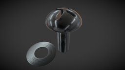 Screw and flat washer