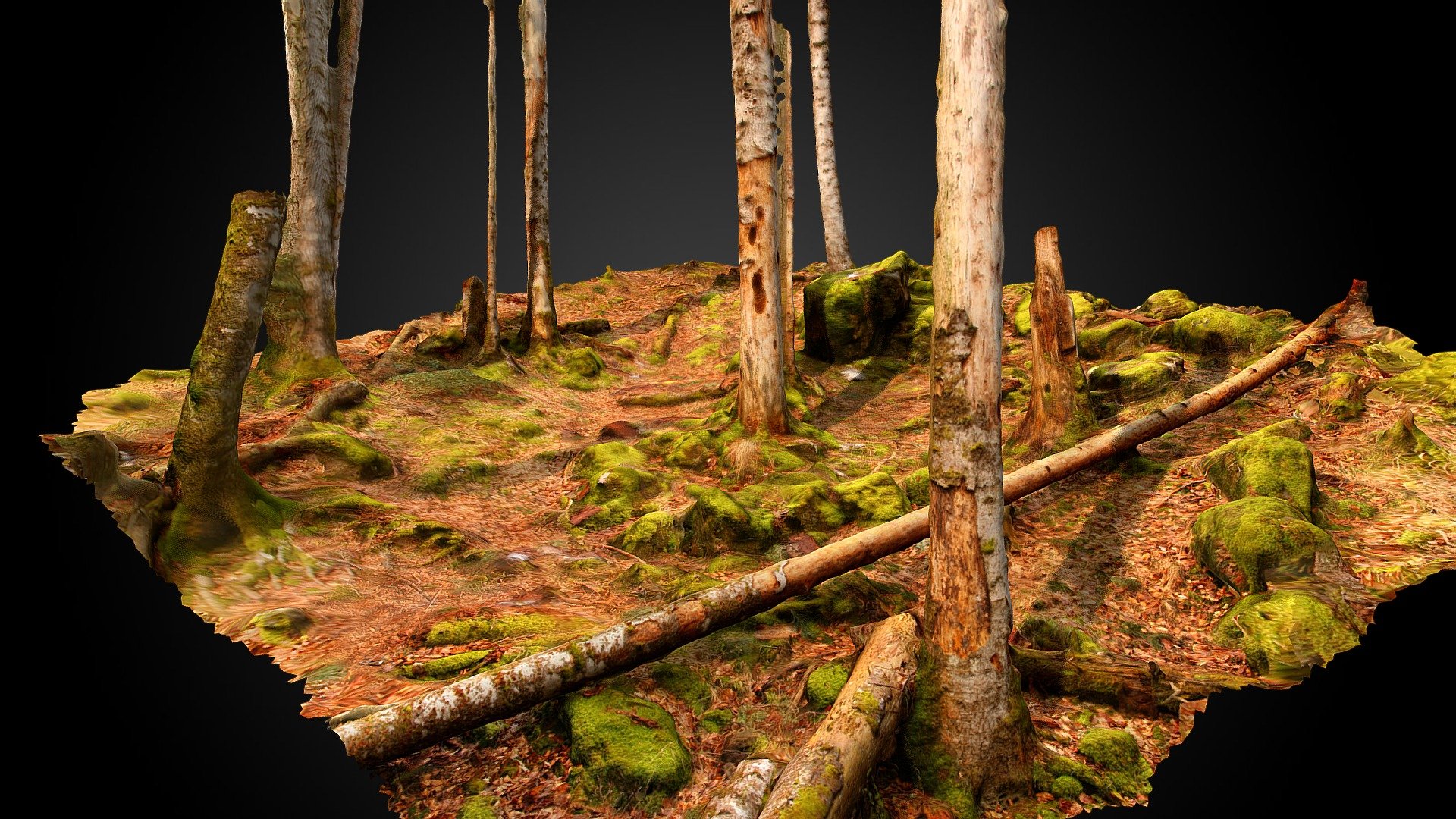 Hayedo (Fagus sylvatica) - Parque Nacional de Ordesa

Fageda (Fagus sylvatica) - Parc Nacional d'Ordesa - Beech forest (Fagus sylvatica) - Buy Royalty Free 3D model by 4Datum 3d model