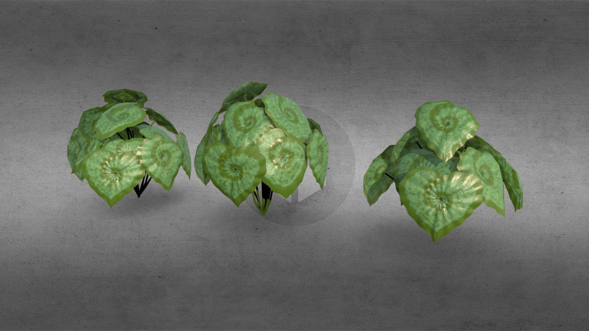 Introducing begonia rex, exotic plant

Includes:




3 Begonia Plants

For support or other information please send us an e-mail at info@sunbox.games

Check out our other work at sunbox.games - Begonia Rex - Exotic Plant - Buy Royalty Free 3D model by Sunbox Games (@sunboxgames) 3d model