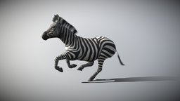Zebra africa, zebra, safari, stripes, zoology, equine, hoof, mane, blender, horse, animal, animated, rigged