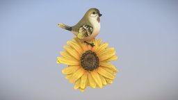 Bird on Sunflower bird, flower, sunflower, 3dflowcup18, photogrammetry, decoration