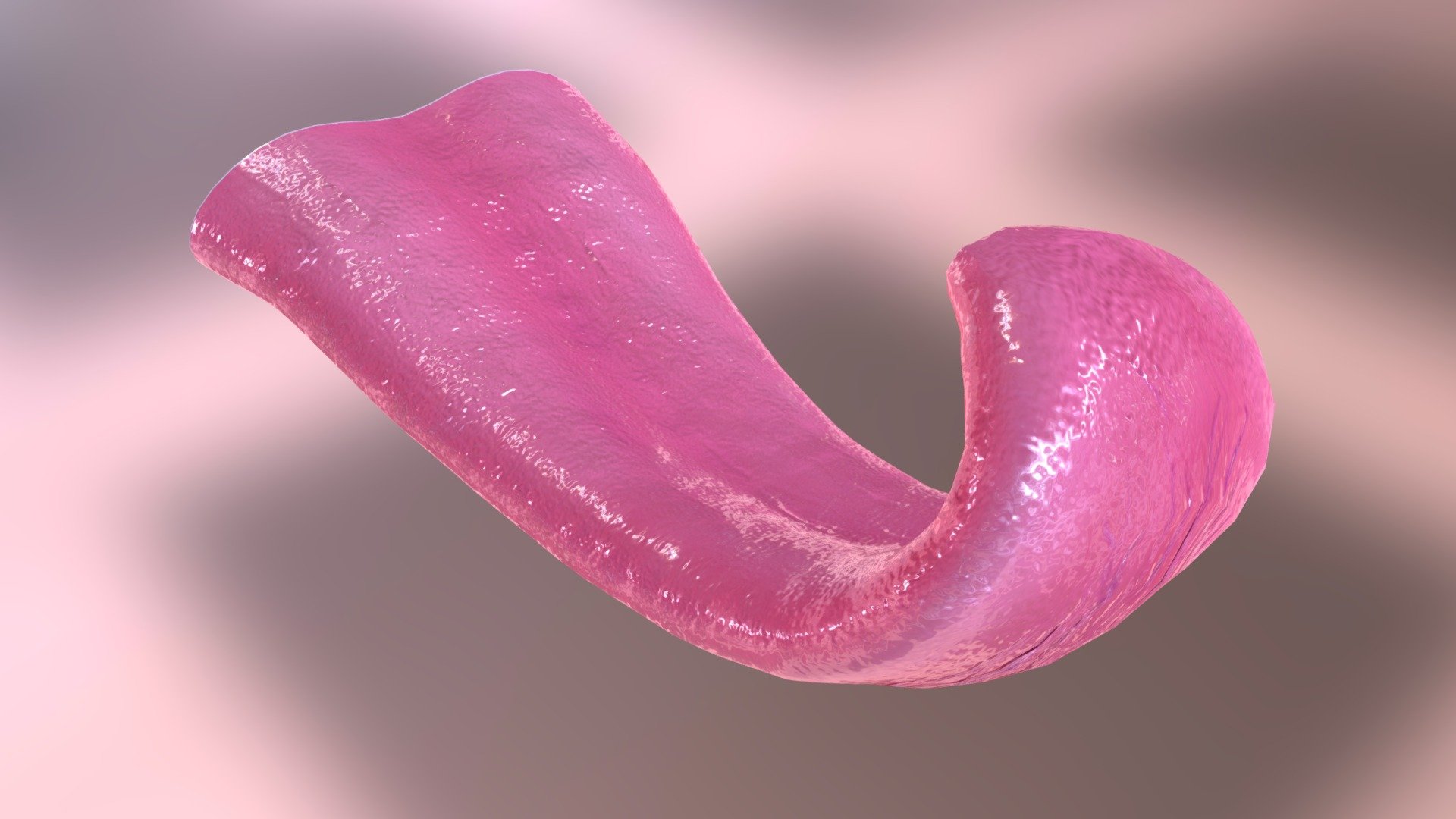 A fully rigged and animated tongue for a mobile app. You can see it in full action here: https://vimeo.com/54938277 - La Langue - The tongue - Buy Royalty Free 3D model by Marcus Ryéll (@Ryell) 3d model
