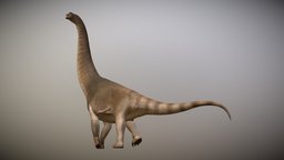 Brachiosaurus Altithorax jurassic, sauropod, brachiosaurus, blender, prehistoric, dinosaur