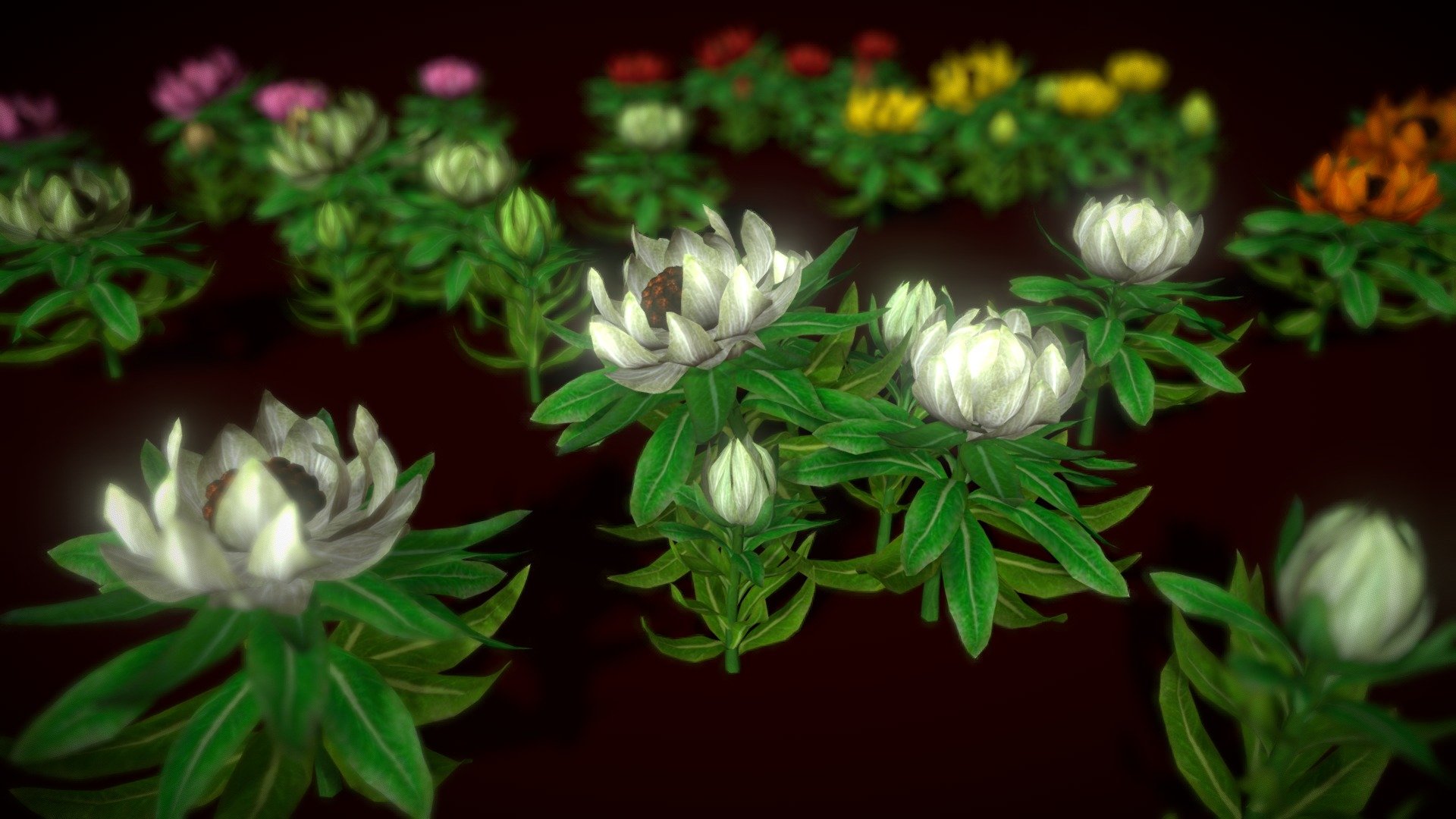 HIGH QUALITY Flower optimized for Unity game engine!
Mobile Optimize Scene
This is model 3D Flower Saussurea Involucrata in the Big Pack (Cartoon Flower Colections) with over 6 types color!
All objects are ready to use in your visualizations.
- 1024x1024, texture maps
- Poly Count : Average 36066polys,65520 tris,34706 Verts - Flower Saussurea Involucrata - Buy Royalty Free 3D model by vustudios 3d model