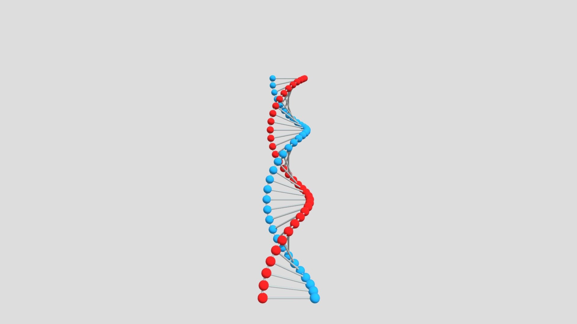 credit to @kraydan - DNA - 3D model by anatomiya.uz 3d model
