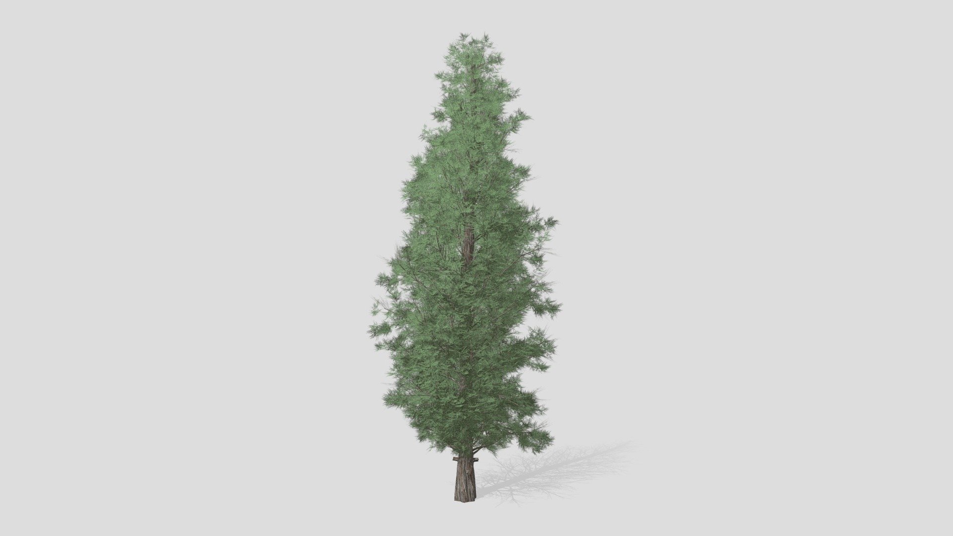Features:


Vray &amp; Corona Render Engine Ready
OBJ &amp; Max Format
3DS Max 2015
Optimized
Clean Topology
Up to 99% Quad
Unwrapped Overlapping
Real-World Scale
Transformed into zero
Grouped
Objects Named
Materials Named
Up to 4K Textures map
 - Eastern Red Cedar Tree - Buy Royalty Free 3D model by DATEC_Studio 3d model