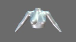 Female Turtle Neck Matalic Silver Top turtle, modern, neck, , fashion, girls, top, long, clothes, metalic, sleeves, womens, wear, pbr, low, poly, sci-fi, futuristic, female