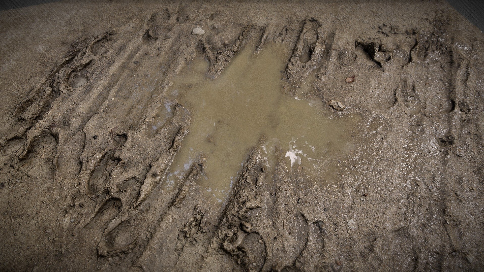 Photogrammetry scan of this Mud Puddle made with a 100 pictures.
8K textures with PBR treatment , gameready asset 3d model