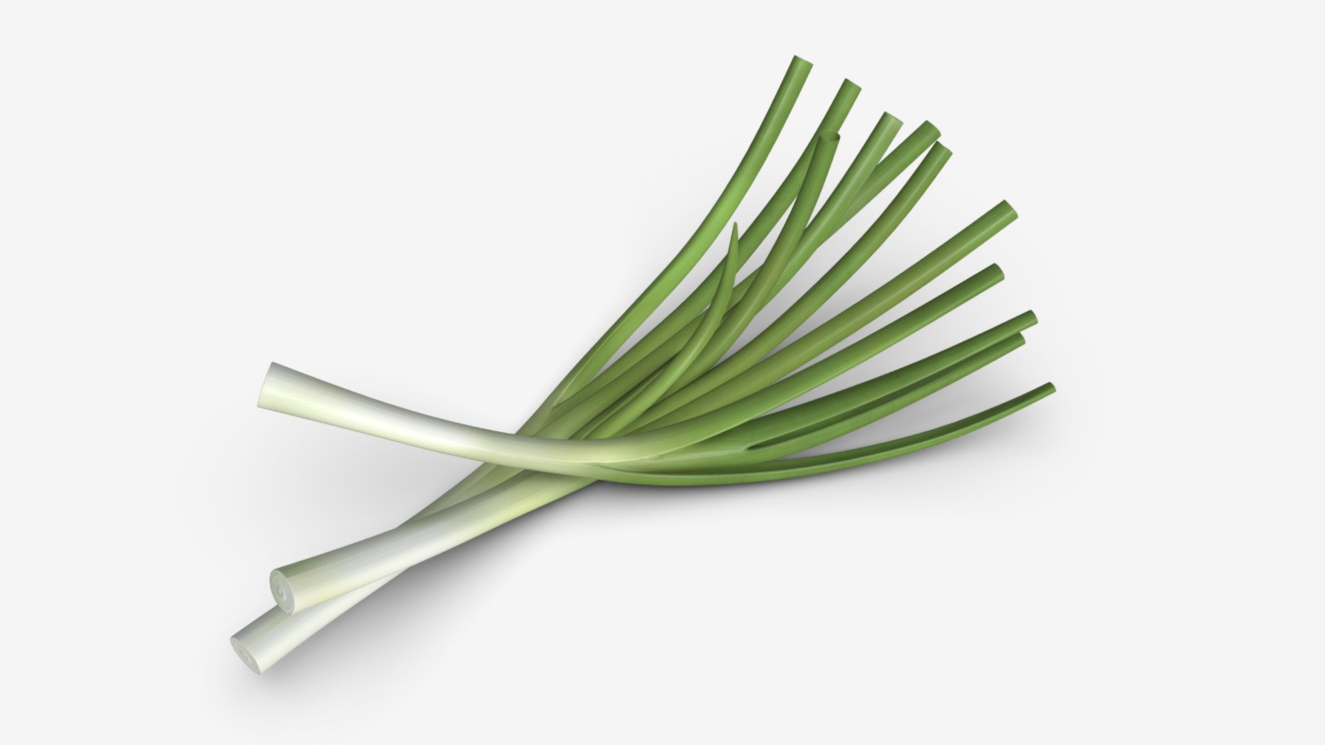 Spring onions 01 - Buy Royalty Free 3D model by HQ3DMOD (@AivisAstics) 3d model