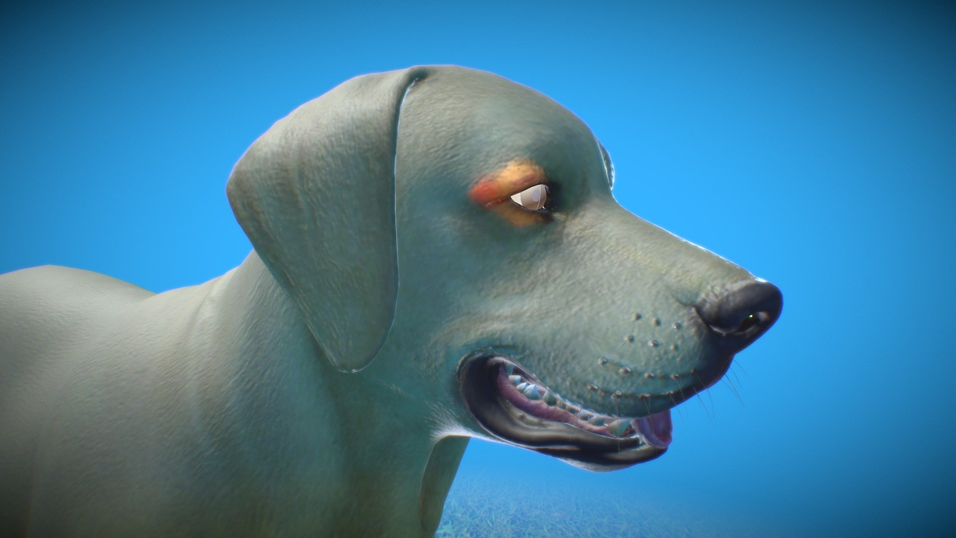 Investigation about the dog´s eye anatomy 3d model