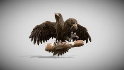 two-headed eagle Low-poly 3D model two, bird, eagle, animals, fight, raptor, raven, crow, head, nature, feather, wildlife, fly, animal