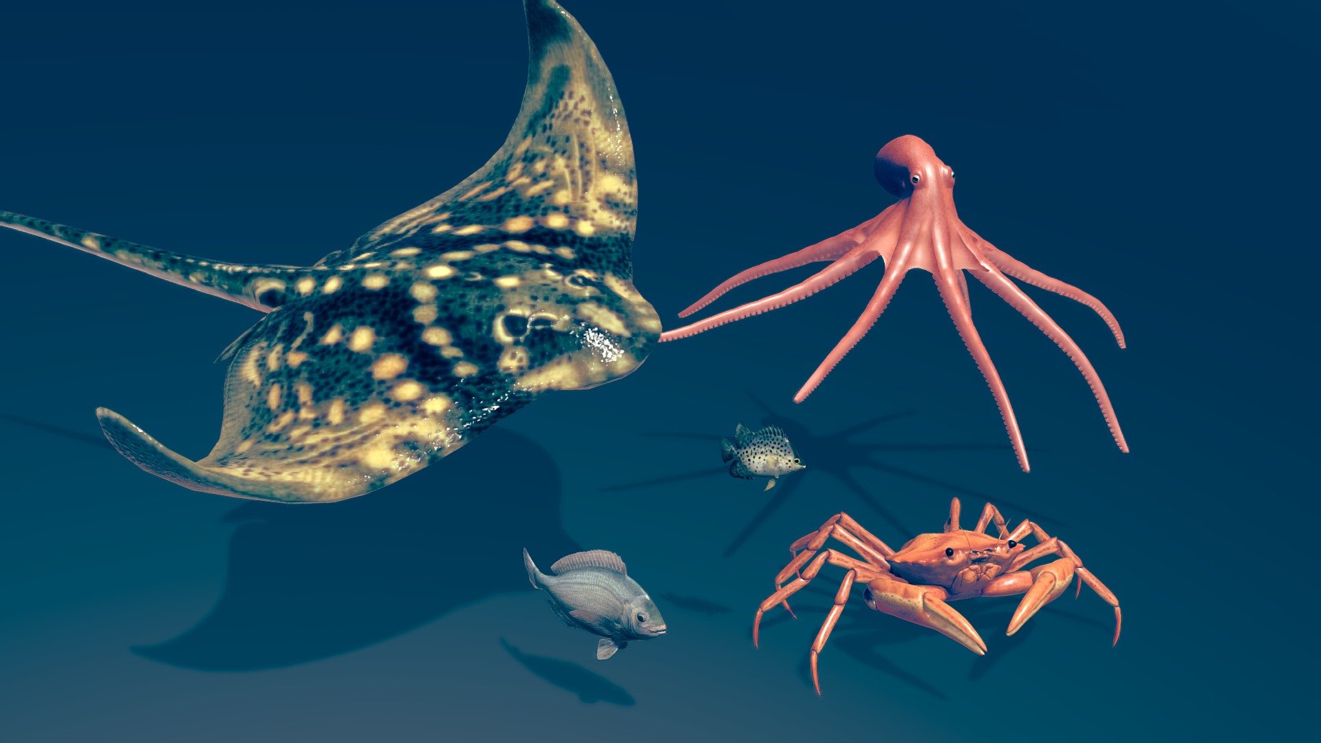This pack contains all of my actual animated aquatic animals. Each model is in a fbx format with 2048px (2K) sized textures.

Contains 5 animated models (also available individually, link below 👇)


Crab (16 animations =&gt; 9 looping (walks and idles) and 7 Transitions)
Ray (4  animations =&gt; 2 looping swim and 2 transitions)
Black seabream (1 looping swim animation)
Chaetodon (1 looping swim animation)
Octopus (6 animations =&gt; 3 looping (swim and idle) and 3 transitions)

I let you inspect the individual models, with a better quality and their animations, on the links above 


Please download the additional files ( available in the dowload section ), to have access to the animated models and the 2048px sized textures.


If you have any questions about this pack, contact me! - Animated aquatic animals pack - Buy Royalty Free 3D model by Zacxophone 3d model