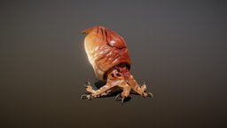 HEXATEUTHIS ANIMATIONS mob, squid, boss, enemy, scifi, creature, monster, fantasy