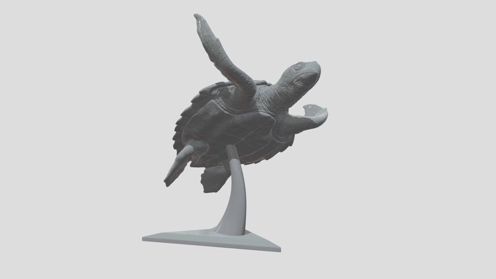 Hawksbill Sea Turtle High Poly, sculpted in ZBrush 2020. Maybe used for Jewelry design, interiour design, digital visualisation, for the production of illustrations. Default size - 20 cm tall (you can scale it up or down). Ideal for printing 3D

3 Part 3D Printing

Compositions

Board Game

Decoration

Motion graphics - Destruction of solids

Etc....

Does not contain UVs Maps

Piece with 20 cm

Files : 

FBX

Does not contain lighting

I hope it will be useful in your project !

Thank you for visiting my models !! - Turtle - Buy Royalty Free 3D model by aleexstudios 3d model