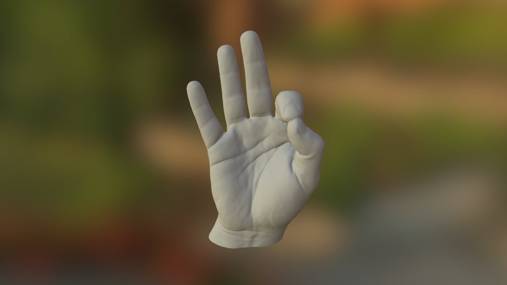 Hand OK - 3D model by FacFox (@michaeledi) 3d model