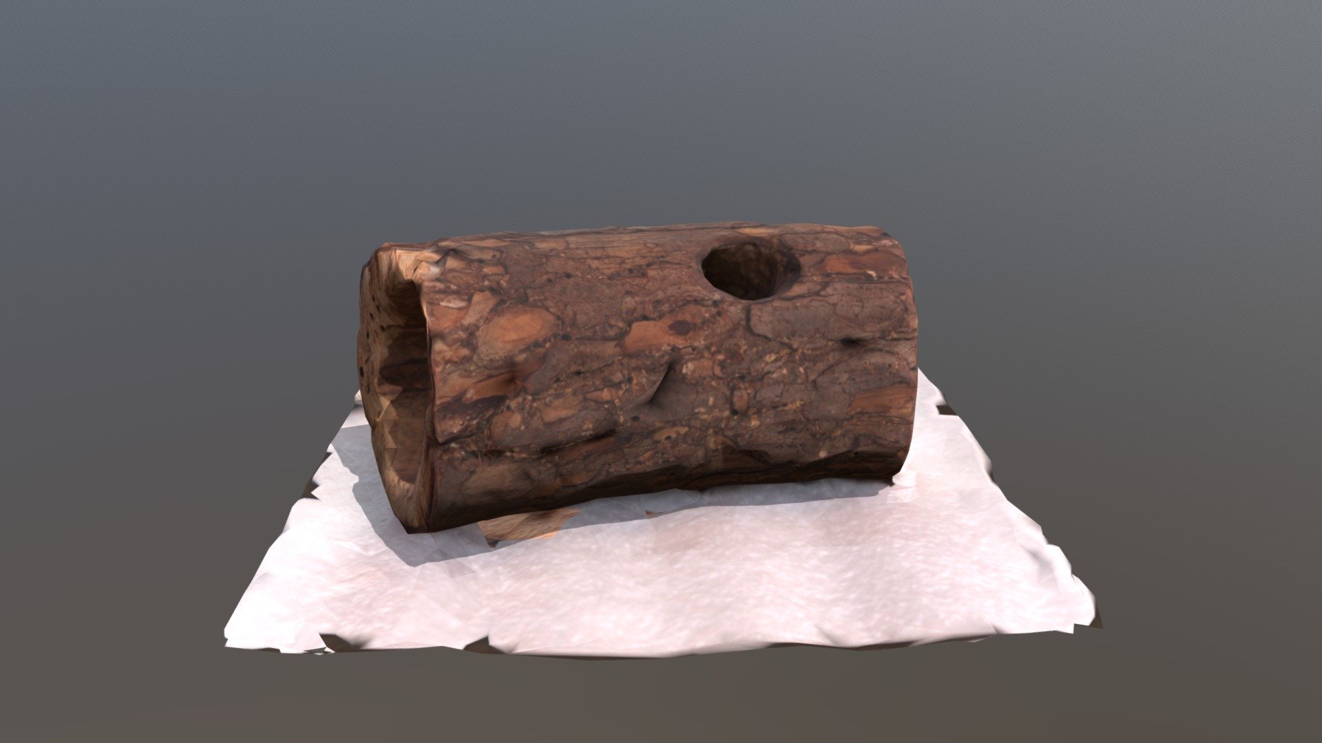 Woodpecker Nest - 3D model by Fort Worth Museum of Science and History (@fwmsh) 3d model