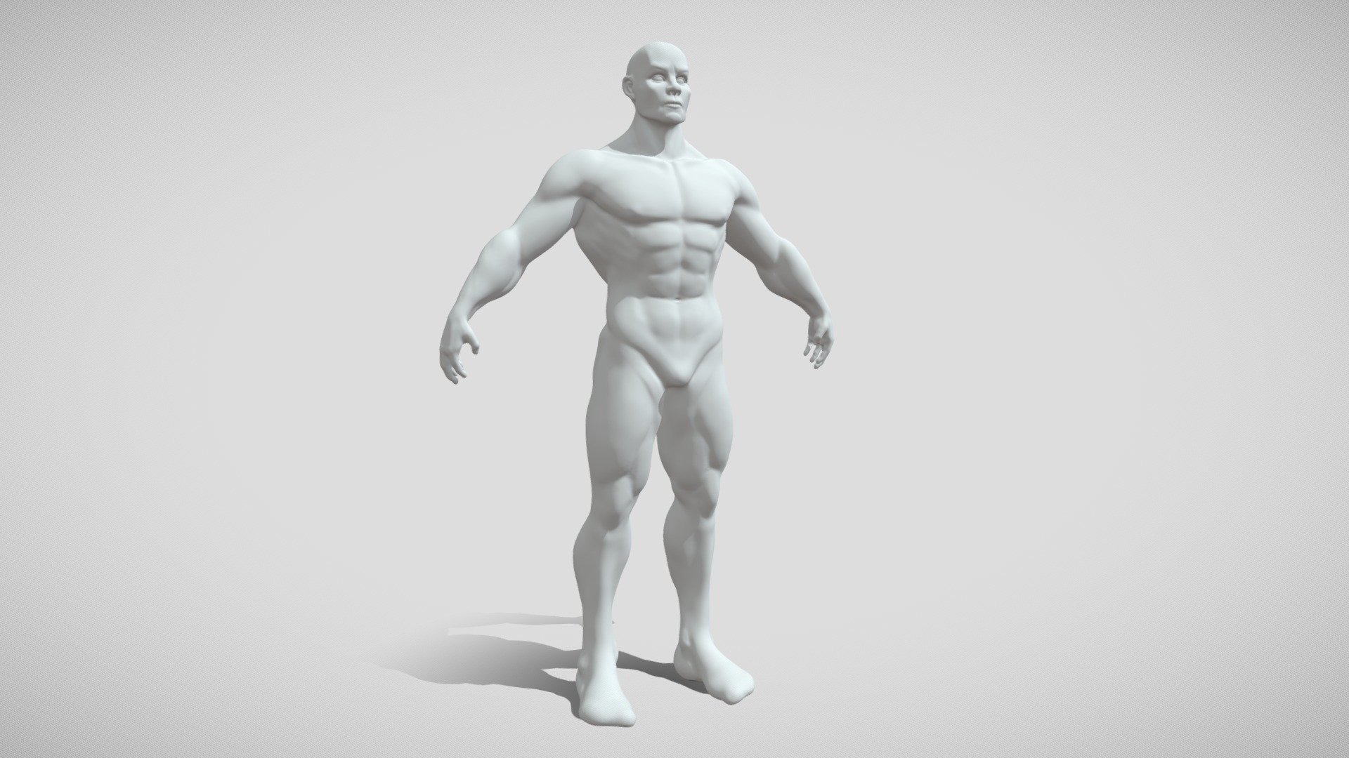 Male Base Mesh - Male Base Mesh - Download Free 3D model by Alexey (@alexeykurash98) 3d model